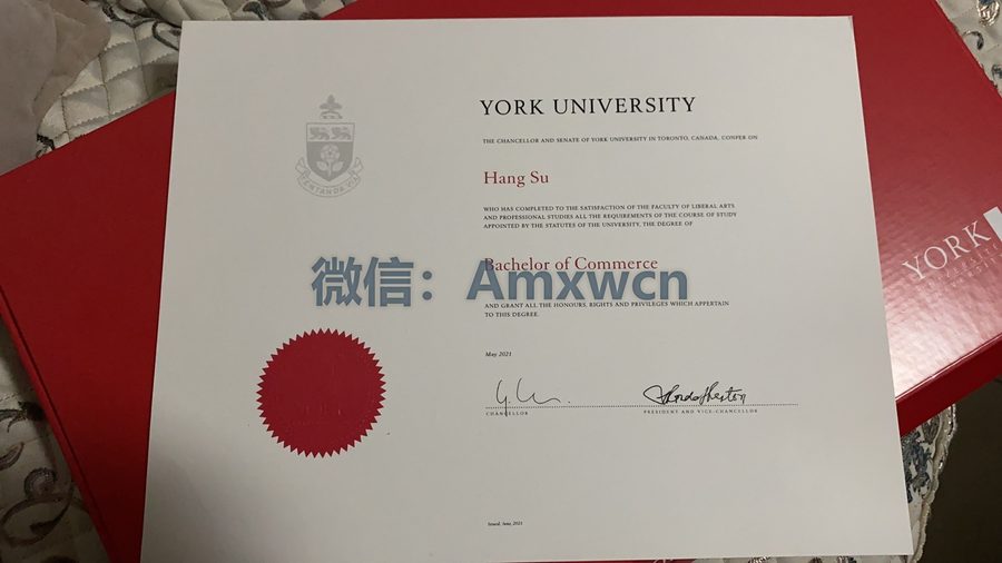 约克大学毕业证案例实拍
